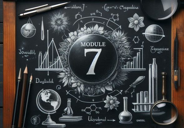module 7 image