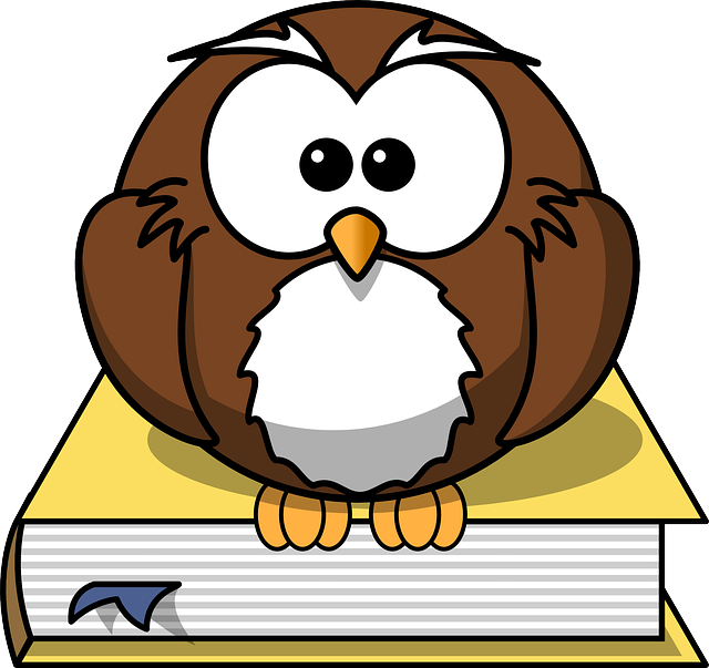 owl-297413_640